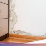 5 Langkah Mengatasi Kelembapan Rumah Agar Bebas dari Jamur dan Lumut