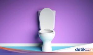 5 Penyebab Toilet Tidak Bisa Disiram yang Bikin Kesal