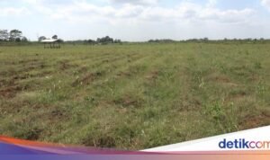 Daftar Harga Lahan Industri di Jabotabek yang Semakin Meningkat