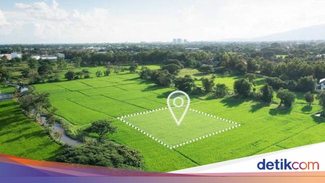 Periksa 7 Hal Ini Sebelum Membeli Tanah, Jangan Terburu-buru