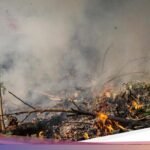 Portal Pengaduan Tetangga yang Sering Membakar Sampah di Jakarta