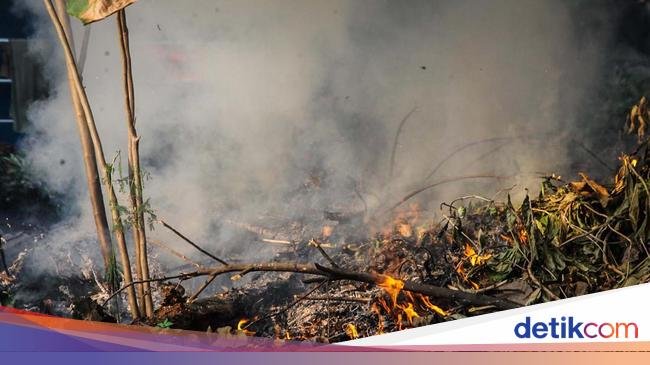 Portal Pengaduan Tetangga yang Sering Membakar Sampah di Jakarta