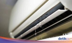 Potensi Bahaya dari Air AC yang Bocor: Apakah Anda Aman?