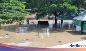 Banjir Melanda Jabodetabek, Namun Prospek Sektor Ritel-Kawasan Industri Tetap Terjaga